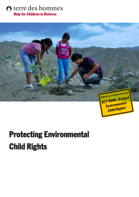  Protecting Environmental Child Rights