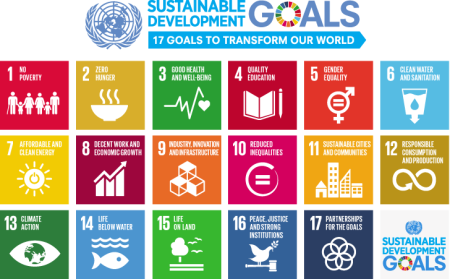 Sustainable Developmen Goals Sustainable Development Goals - 17 goals to transforme our world