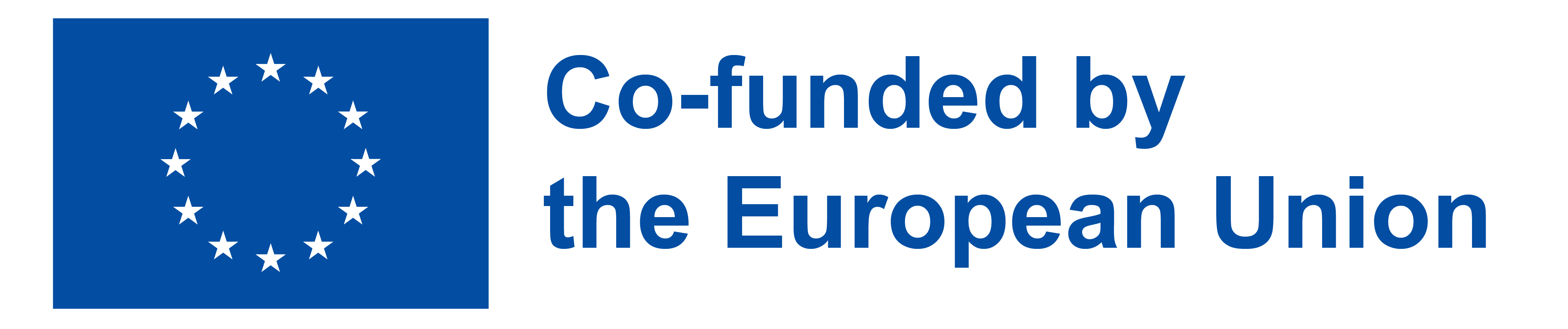 EU logo and co-funding statement
