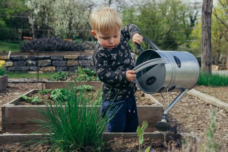 a little boy watering plants