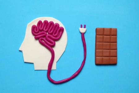 Head outline, fabric brain, plug and bar of chocolate